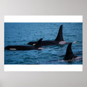 Pôster Oreo, Cookie e DoubleStuf