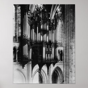 Poster Organ