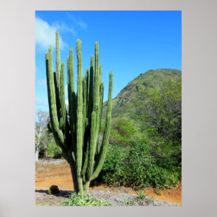 Pôster Organ Pipe Cactus
