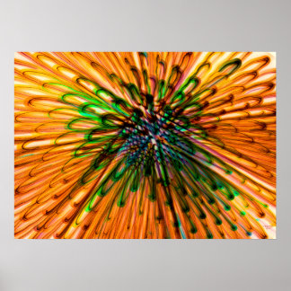 Pôster Órgão de girassol