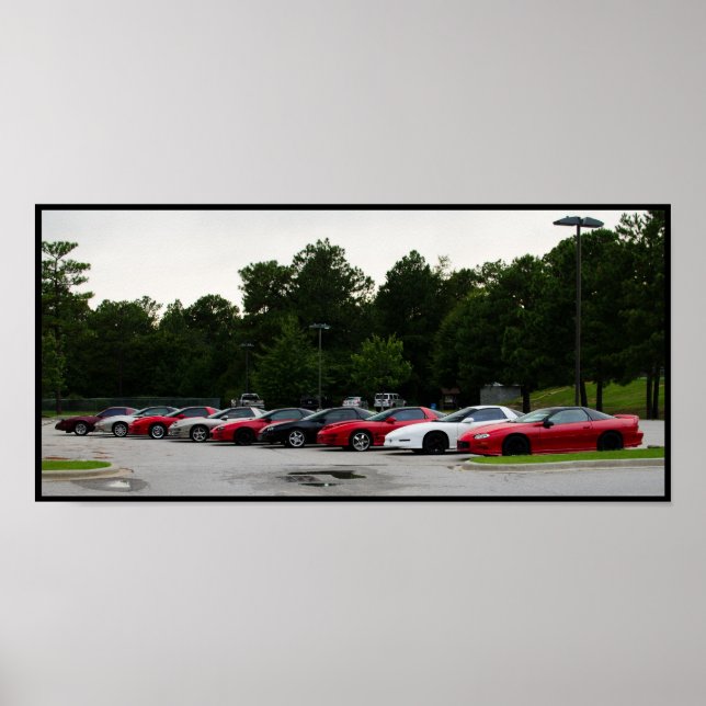 Pôster órgãos f (Frente)