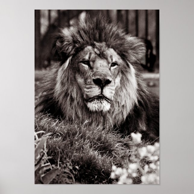 Poster Orgulho (Frente)