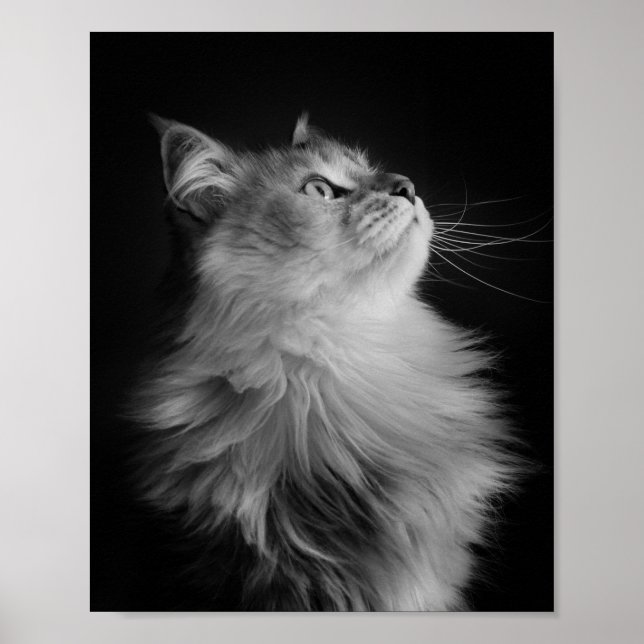 Pôster Orgulho (Frente)