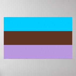 Poster Orgulho Androsexual