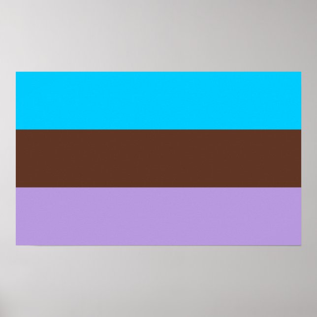 Poster Orgulho Androsexual (Frente)