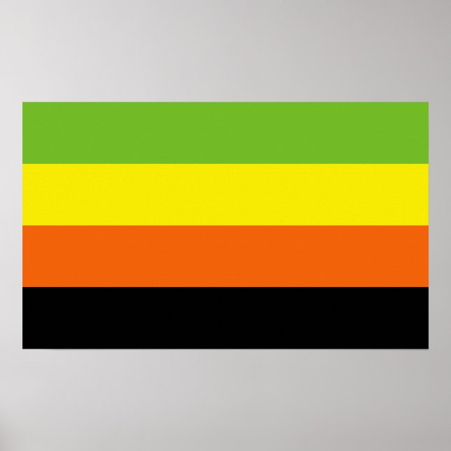 Poster Orgulho Aromântico (Frente)