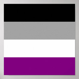 Poster Orgulho Asexual