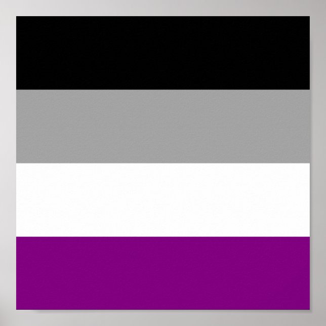 Poster Orgulho Asexual (Frente)