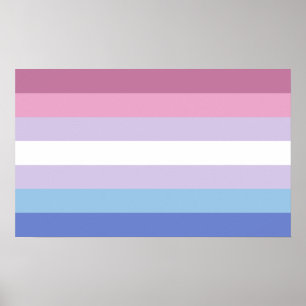 Poster Orgulho Bigênero