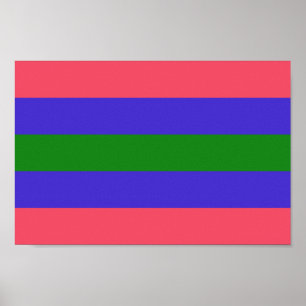 Poster Orgulho de Trigender