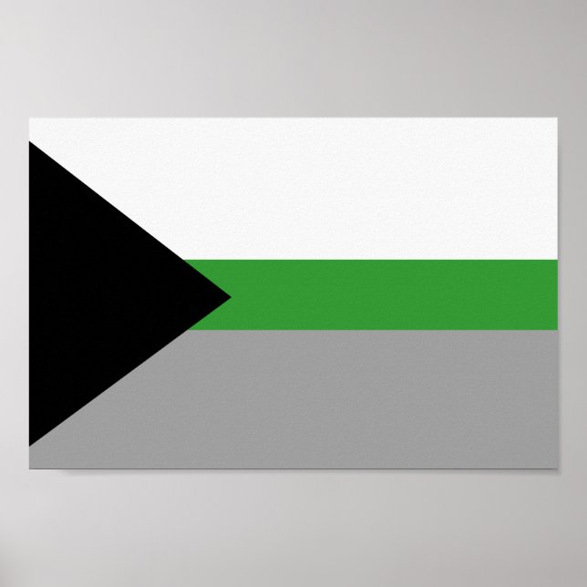 Poster Orgulho Demiromântico (Frente)