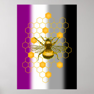 Poster Orgulho gay Arco-Íris LGBT Asexual