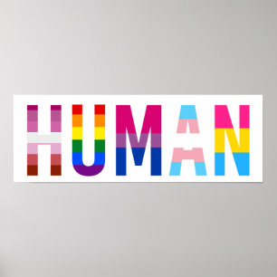 Poster Orgulho gay Mês de Bandeira LGBT HUMANA Transgên