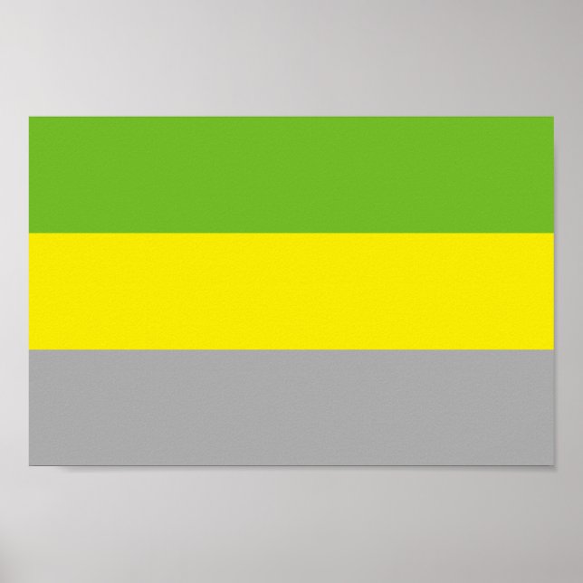 Poster Orgulho Litromântico (Frente)