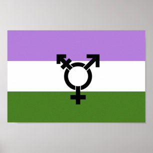 Poster Orgulho Queer - Gênero Queer