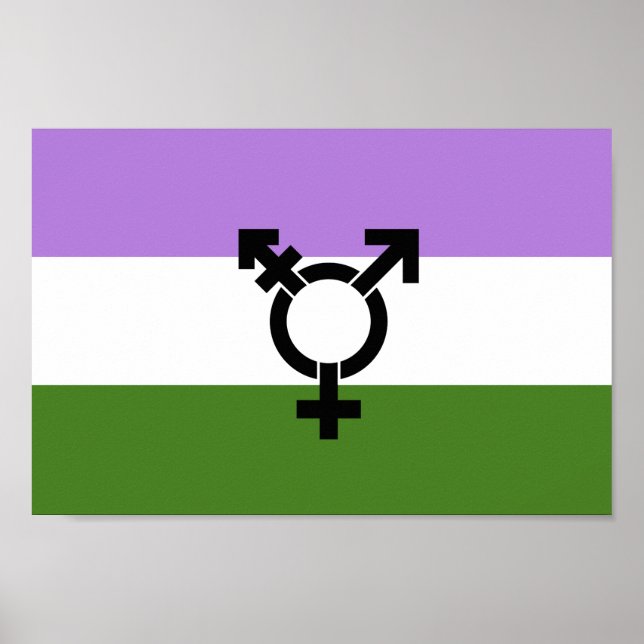 Poster Orgulho Queer - Gênero Queer (Frente)
