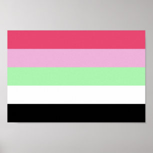 Poster Orgulho Recipromânico