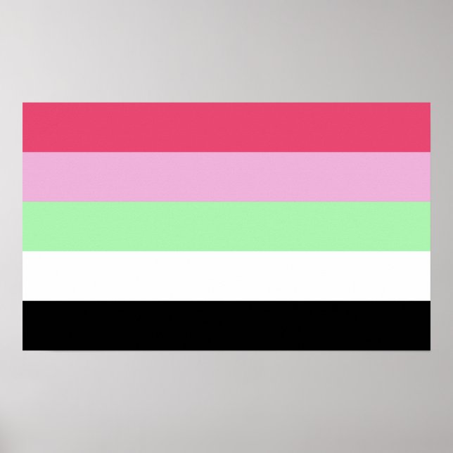 Poster Orgulho Recipromântico (Frente)