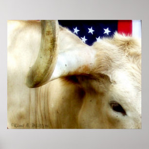 Poster orgulhoso de Texas