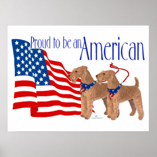 Pôster Orgulhoso por ser americano