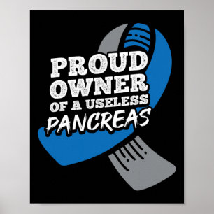 Poster Orgulhoso Proprietário Da Diabetes Pancreas Inútei