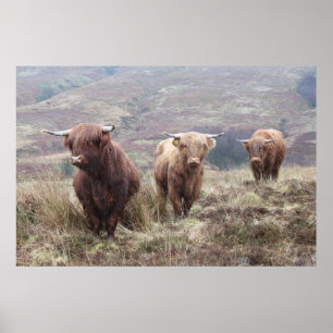 Pôster Orgulhoso ser escocês!