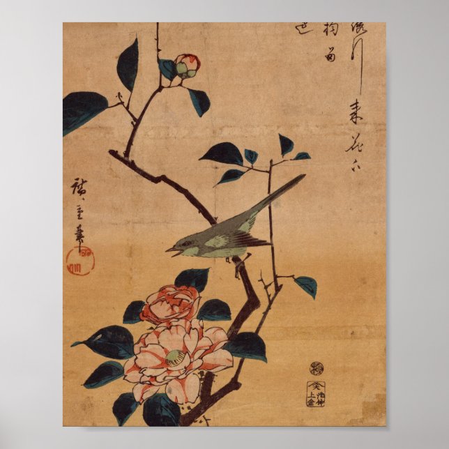Poster Oriental Camellia e Warbler (Frente)