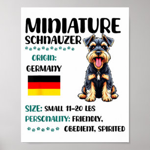 Poster Origem do Schnauzer Miniatura Engraçado Amante de 