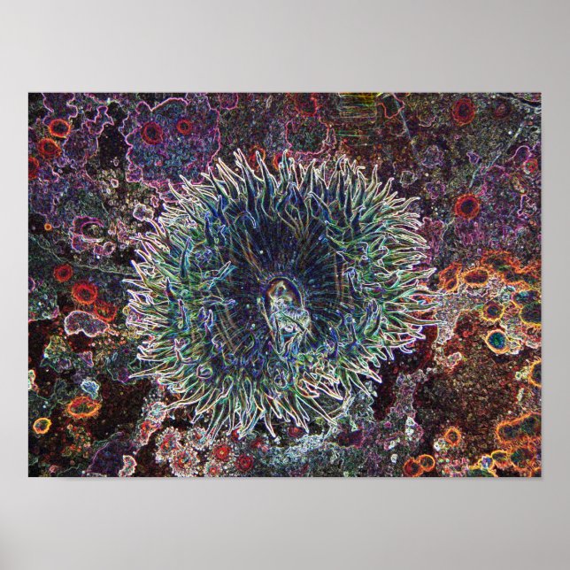 Poster Origens Celulares (Frente)