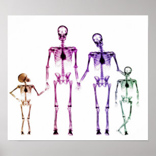 POSTER - ORIGINAL BRANCO DA FAMÍLIA DE ESQUELETO