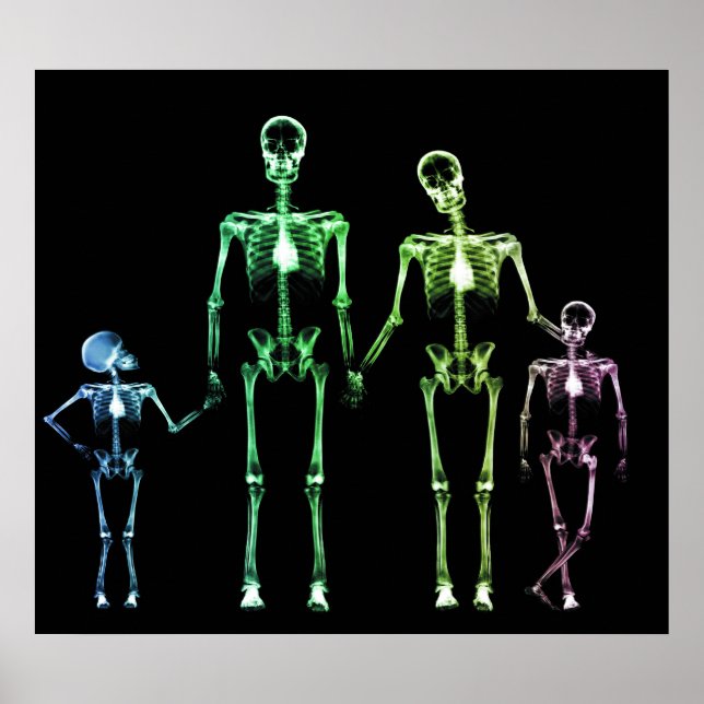 POSTER - ORIGINAL DA FAMÍLIA DE ESQUELETÕES X-RAY (Frente)