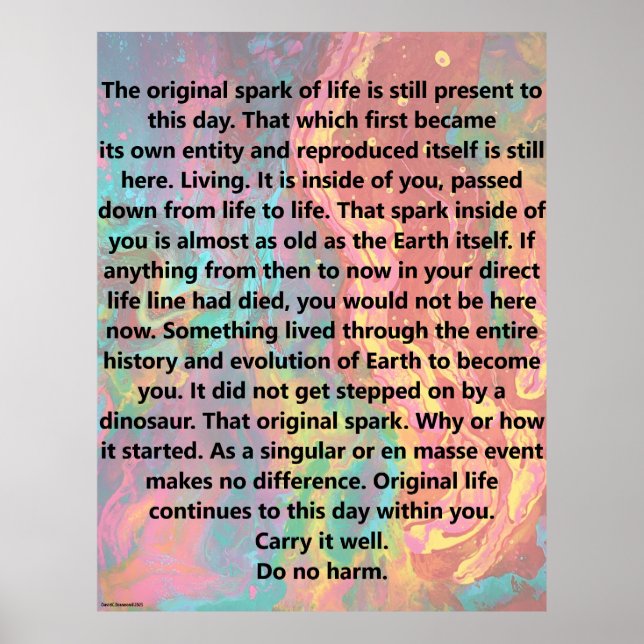Poster Original Spark Of Life (Frente)