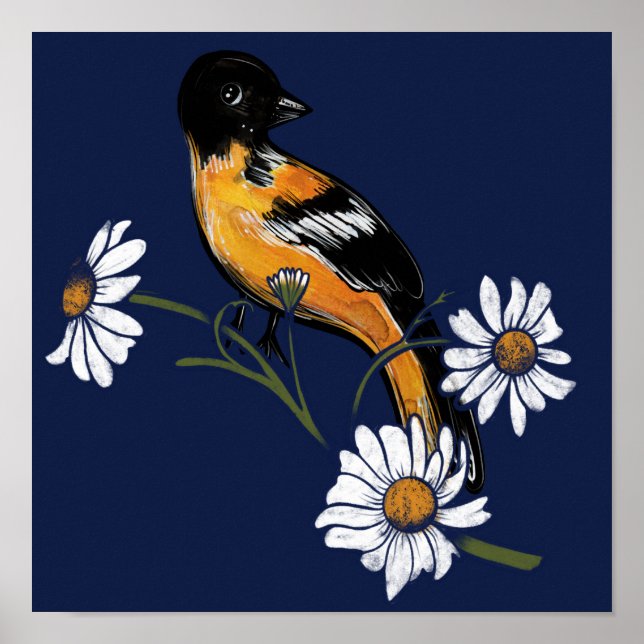Poster Oriole Bird Daisy Flower Nature Art                (Frente)
