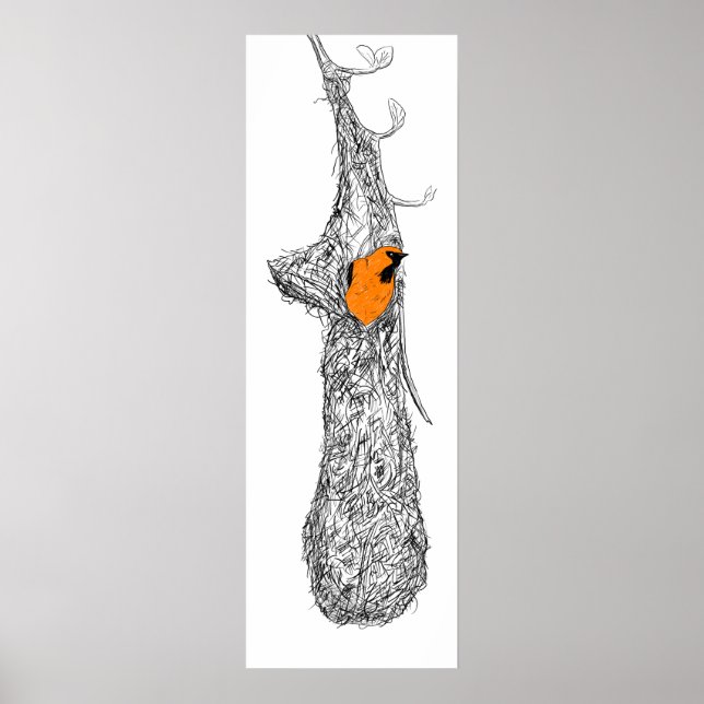 Poster Oriole Nest (Frente)