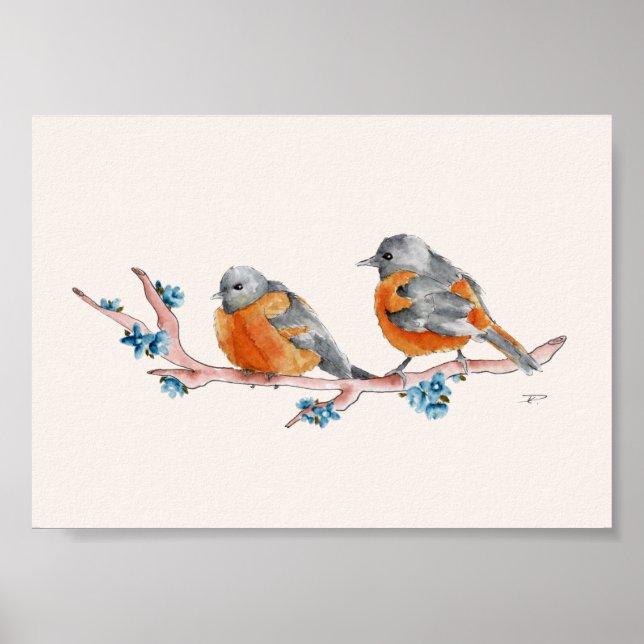 Poster Orioles de Aquarela (Frente)