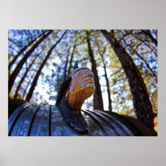 Poster Ornament de madeira indígena Pontiac (Brighter)