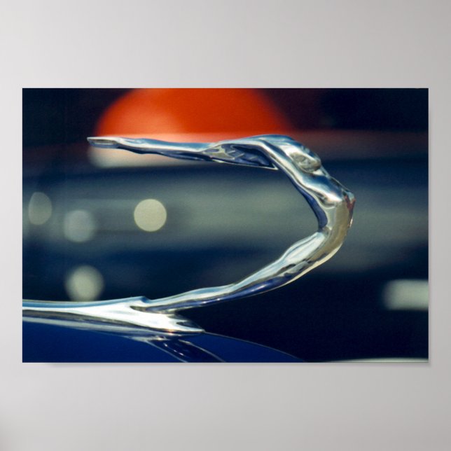 Poster ornamento (Frente)