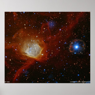 Poster Ornamento Cósmico