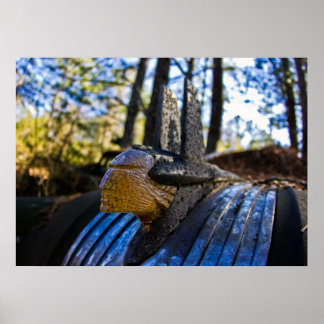 Pôster Ornamento de Capim Indiano Pontiac