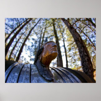 Poster Ornamento de Capim Indiano Pontiac