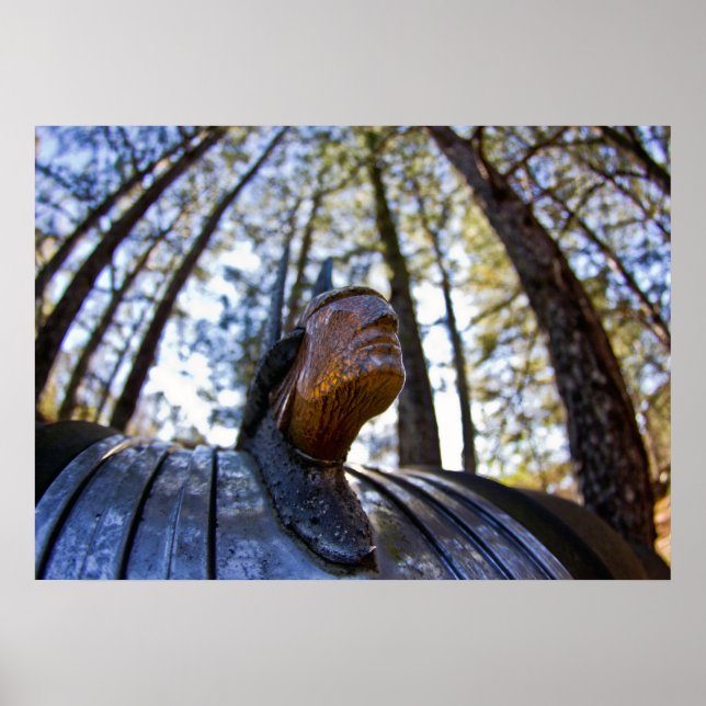 Poster Ornamento de Capim Indiano Pontiac (Frente)