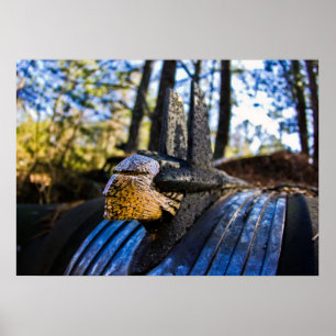 Poster Ornamento de Capim Indiano Pontiac