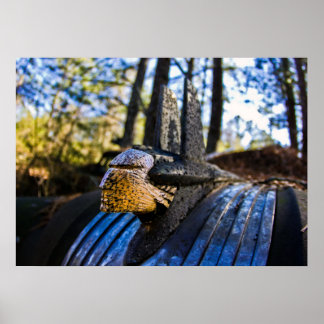 Poster Ornamento de Capim Indiano Pontiac