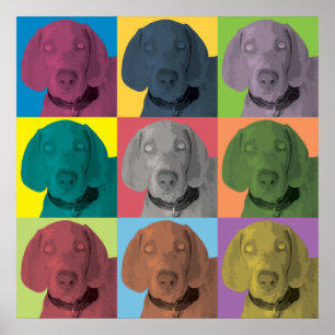 Pôster Ornamento do pop art de Weimaraner