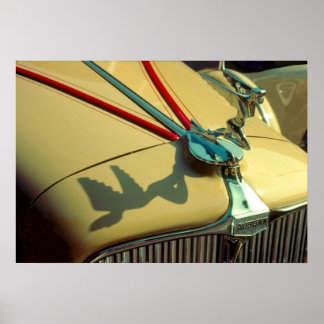 Pôster Ornamento do radiador Auburn Speedster