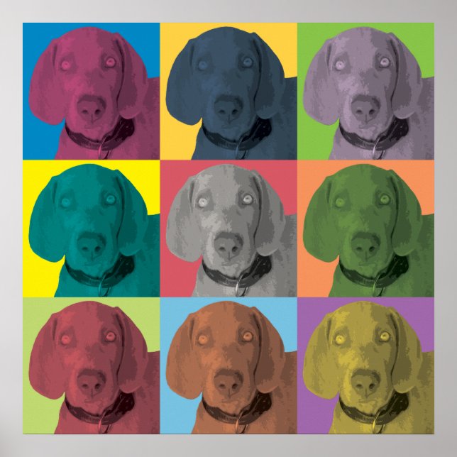 Pôster Ornamento Pop de Arte Weimaraner (Frente)