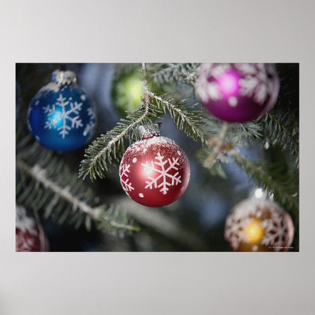 Poster Ornamentos em árvore de Natal (Frente)