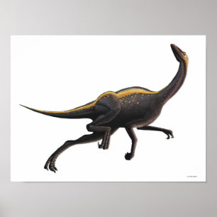 Pôster Ornithomimus