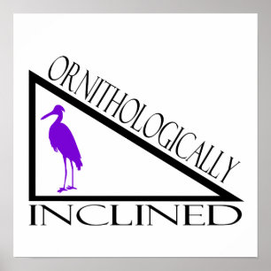 Pôster Ornitològica inclinado