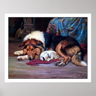 Pôster Orphan Puppy e Collie - por Wright Barker
